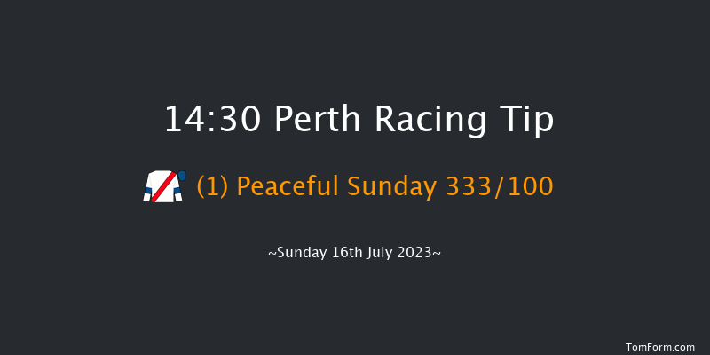 Perth 14:30 Handicap Chase (Class 4) 16f Thu 6th Jul 2023
