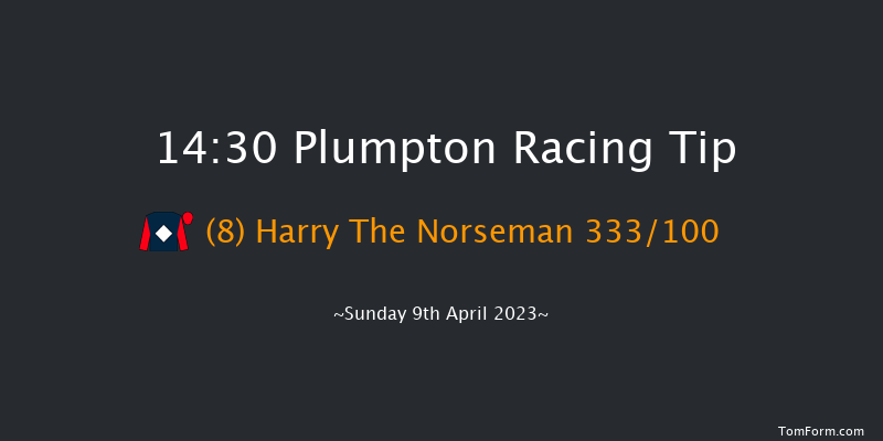 Plumpton 14:30 Handicap Chase (Class 5) 17f Tue 21st Mar 2023