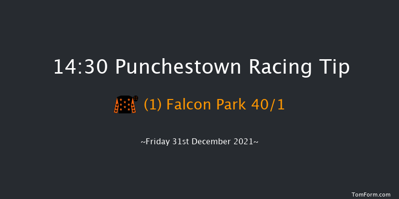 Punchestown 14:30 Handicap Hurdle 16f Sun 5th Dec 2021