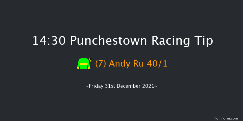 Punchestown 14:30 Handicap Hurdle 16f Sun 5th Dec 2021