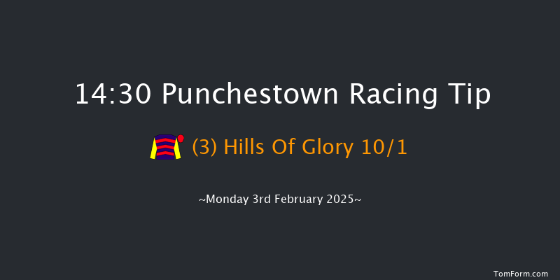 Punchestown  14:30 Maiden Hurdle 19f Mon 27th Jan 2025