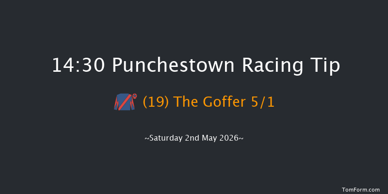 Punchestown 14-30 24f Fri 1st May 2026