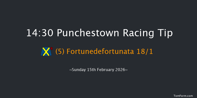 Punchestown 14-30 (Class 1) 27f Wed 4th Feb 2026