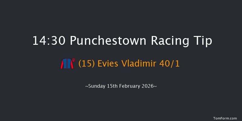 Punchestown 14-30 (Class 1) 27f Wed 4th Feb 2026