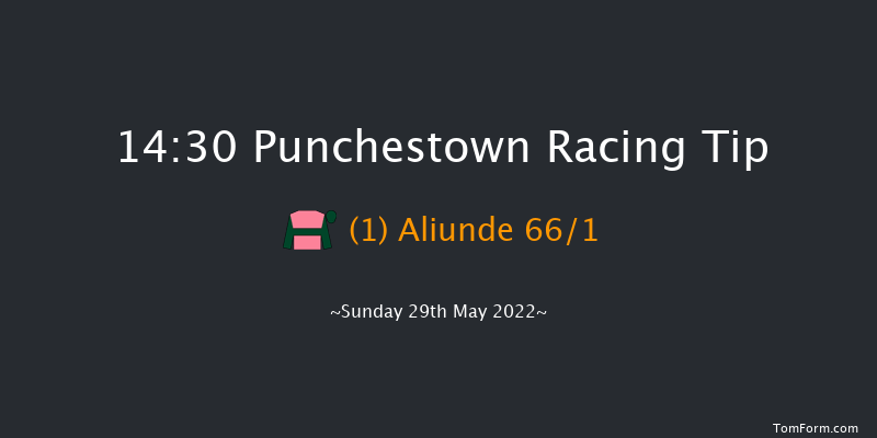 Punchestown 14:30 Maiden Hurdle 20f Sat 28th May 2022