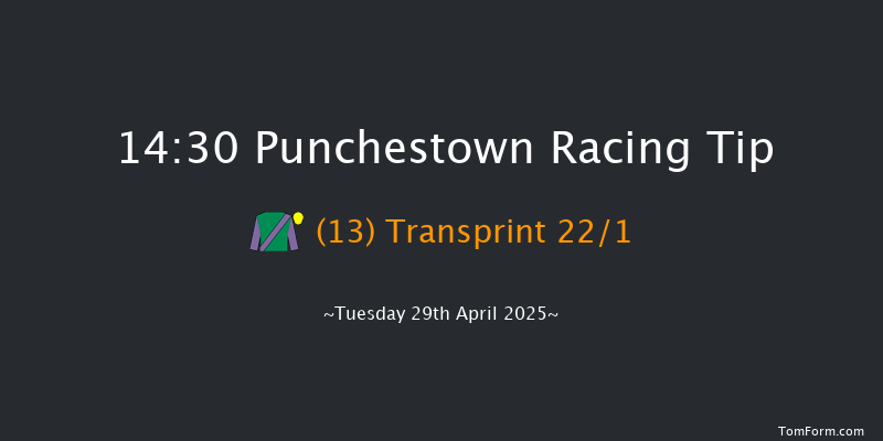 Punchestown 14-30 24f Mon 24th Feb 2025