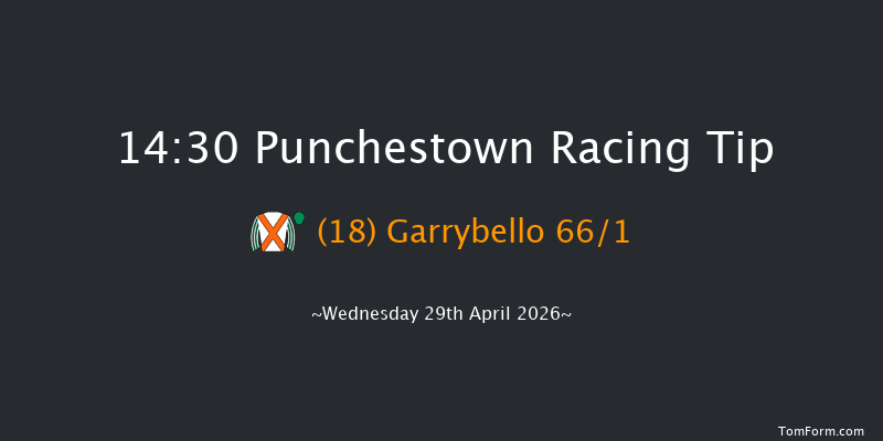 Punchestown 14-30 19f Tue 28th Apr 2026