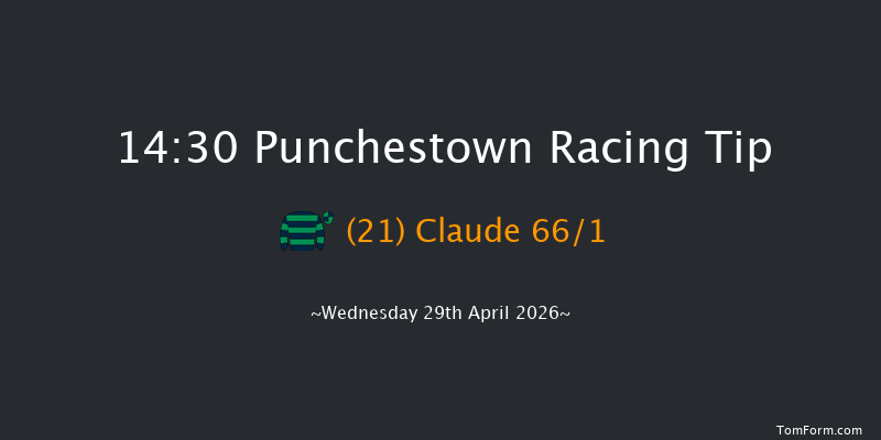 Punchestown 14-30 19f Tue 28th Apr 2026