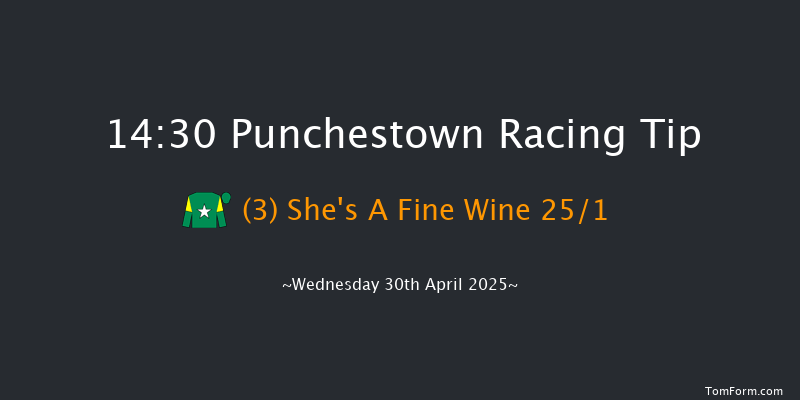 Punchestown 14-30 19f Tue 29th Apr 2025