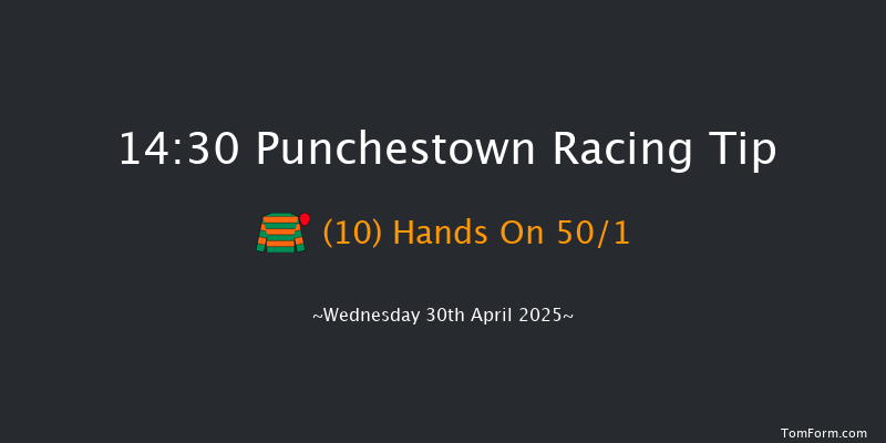Punchestown 14-30 19f Tue 29th Apr 2025