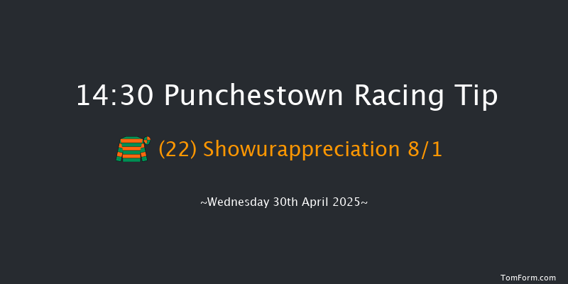 Punchestown 14-30 19f Tue 29th Apr 2025