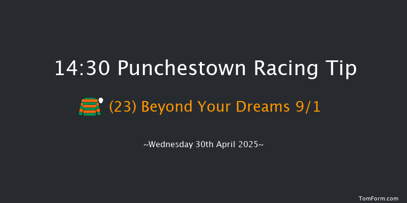 Punchestown 14-30 19f Tue 29th Apr 2025