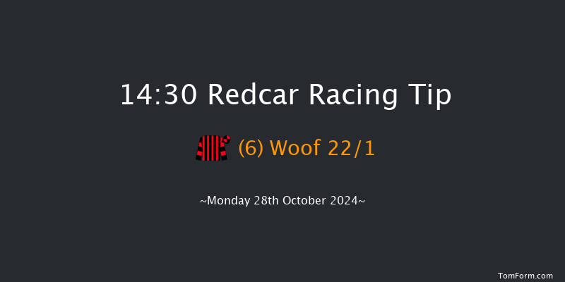 Redcar  14:30 Handicap (Class 6) 10f  Fri 18th Oct 2024