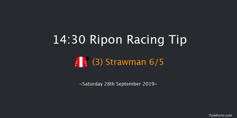 Ripon 14:30 Handicap (Class 4) 8f Tue 27th Aug 2019