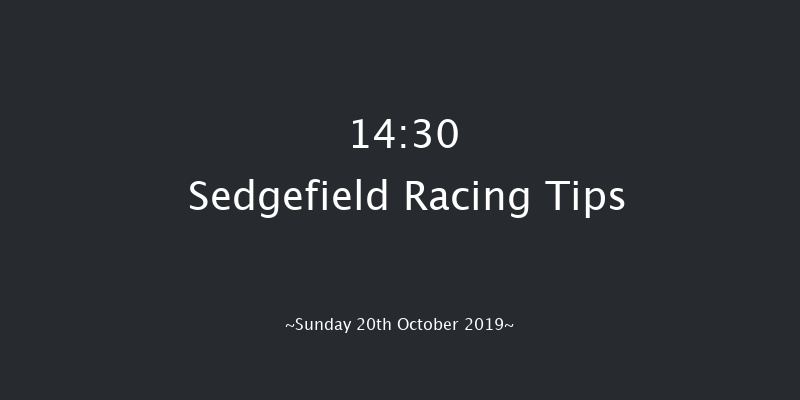 Sedgefield 14:30 Maiden Hurdle (Class 5) 17f Tue 1st Oct 2019