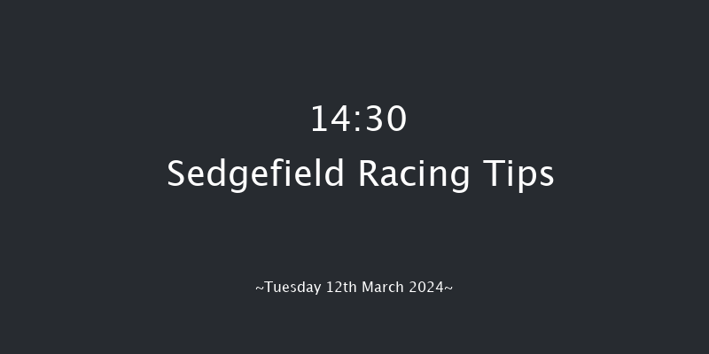 Sedgefield  14:30 Handicap Hurdle (Class 5)
20f Fri 23rd Feb 2024