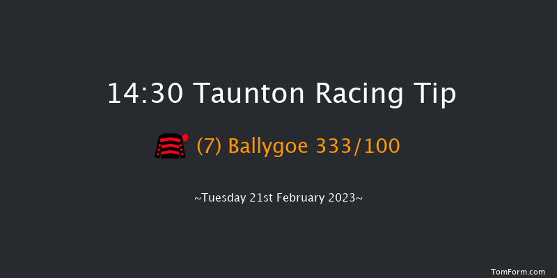 Taunton 14:30 Handicap Hurdle (Class 5) 19f Tue 7th Feb 2023