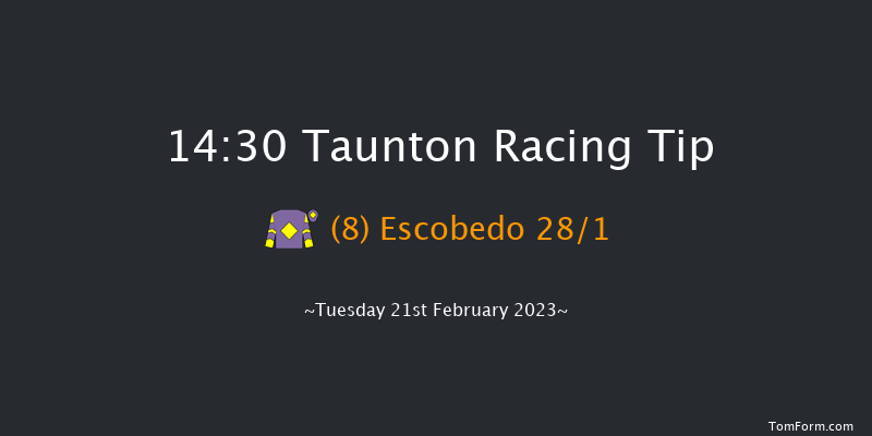 Taunton 14:30 Handicap Hurdle (Class 5) 19f Tue 7th Feb 2023