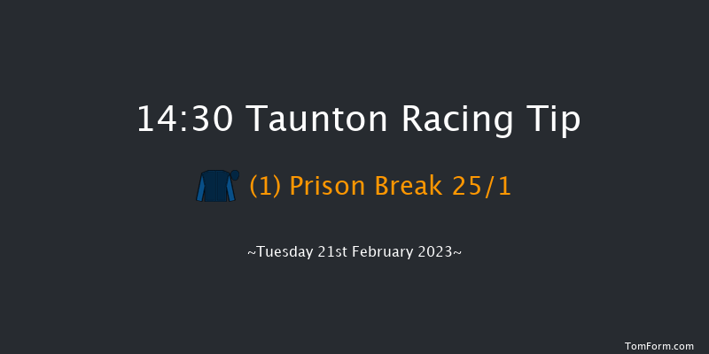 Taunton 14:30 Handicap Hurdle (Class 5) 19f Tue 7th Feb 2023