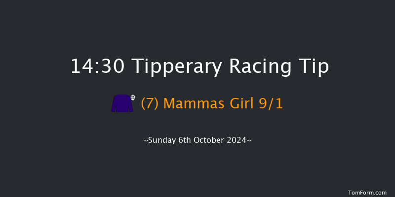 Tipperary  14:30 Listed 8f Sun 1st Sep 2024