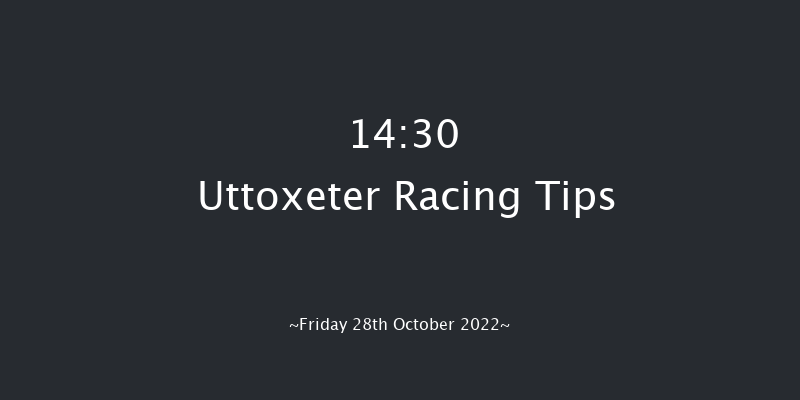 Uttoxeter 14:30 Handicap Chase (Class 5) 20f Fri 14th Oct 2022