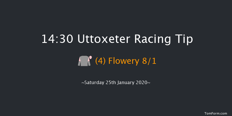 Uttoxeter 14:30 Handicap Hurdle (Class 2) 20f Tue 31st Dec 2019