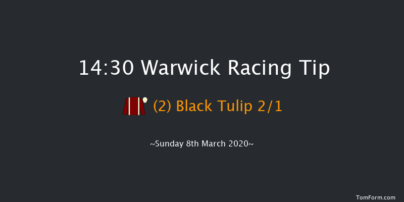 Ebf Mares' Novices' Chase Warwick 14:30 Maiden Chase (Class 3) 20f Fri 21st Feb 2020