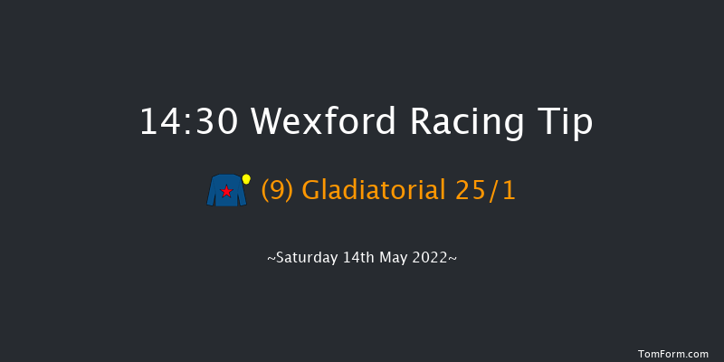 Wexford 14:30 Conditions Hurdle 17f Fri 1st Apr 2022