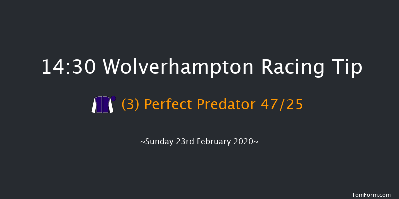 Novibet Welcome Offer Awaits 'Jumpers' Bumper' NH Flat Race Wolverhampton 14:30 16f Fri 21st Feb 2020