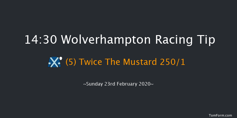 Novibet Welcome Offer Awaits 'Jumpers' Bumper' NH Flat Race Wolverhampton 14:30 16f Fri 21st Feb 2020