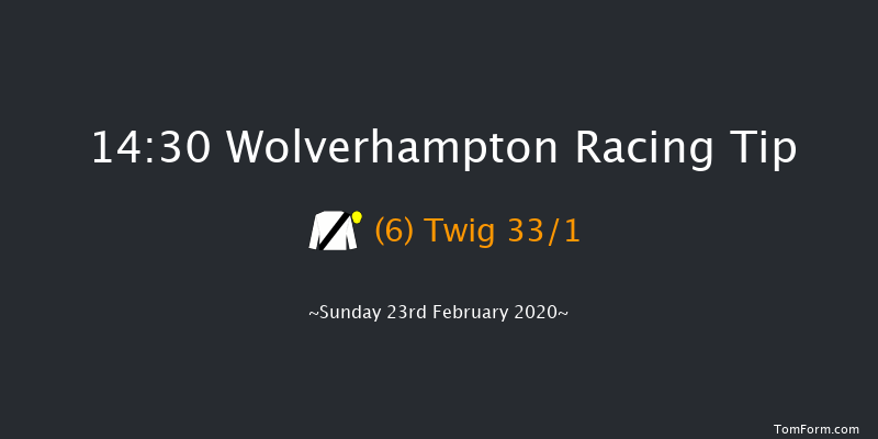 Novibet Welcome Offer Awaits 'Jumpers' Bumper' NH Flat Race Wolverhampton 14:30 16f Fri 21st Feb 2020