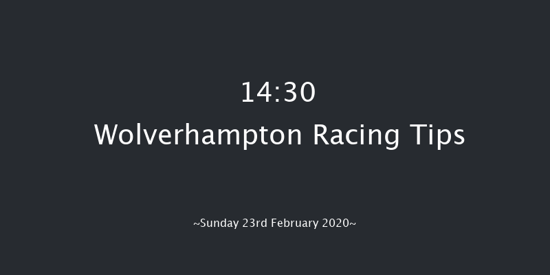 Novibet Welcome Offer Awaits 'Jumpers' Bumper' NH Flat Race Wolverhampton 14:30 16f Fri 21st Feb 2020