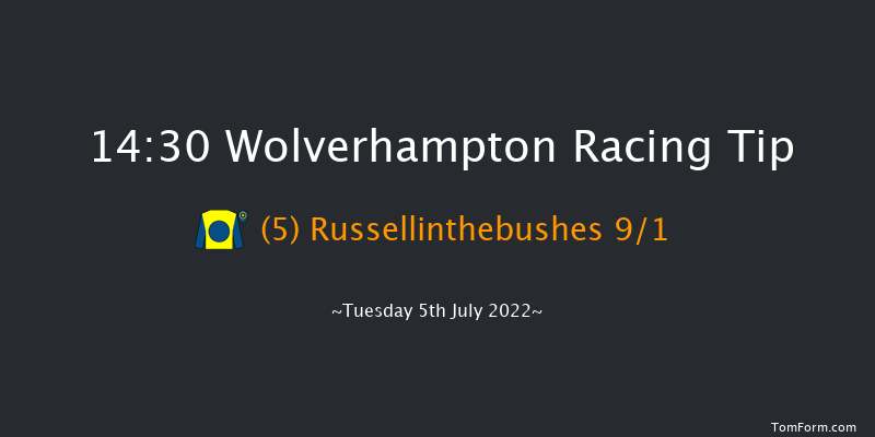 Wolverhampton 14:30 Handicap (Class 5) 6f Mon 20th Jun 2022