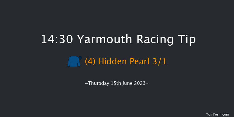 Yarmouth 14:30 Handicap (Class 6) 14f Wed 14th Jun 2023