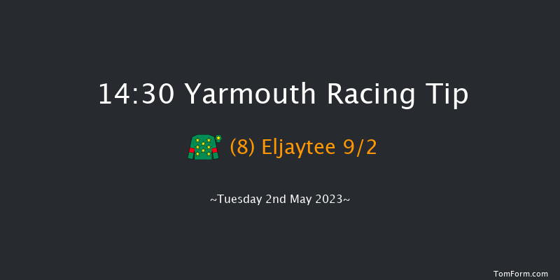 Yarmouth 14:30 Handicap (Class 6) 10f Tue 25th Apr 2023