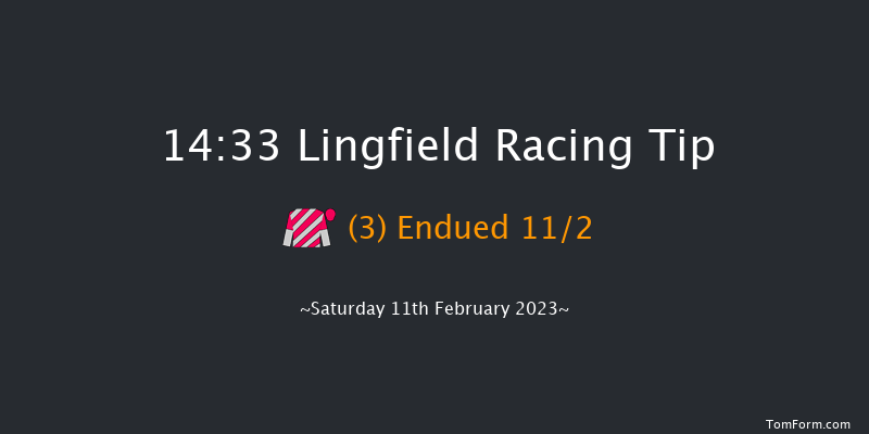 Lingfield 14:33 Stakes (Class 4) 8f Sat 4th Feb 2023
