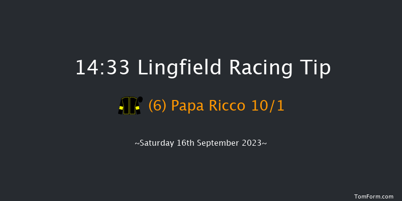 Lingfield 14:33 Handicap (Class 6) 16f Wed 6th Sep 2023