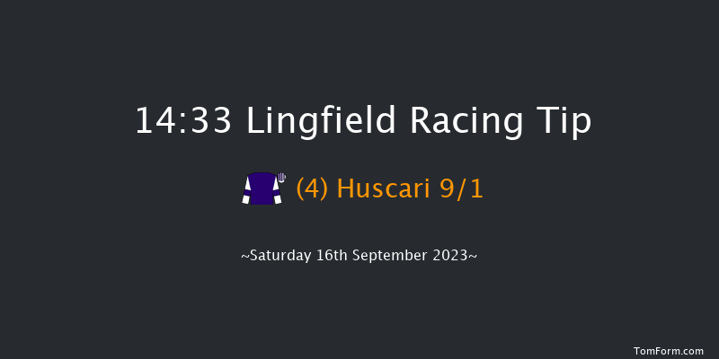 Lingfield 14:33 Handicap (Class 6) 16f Wed 6th Sep 2023