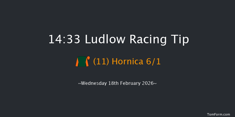 Ludlow 14-33 (Class 4) 15f Wed 4th Feb 2026