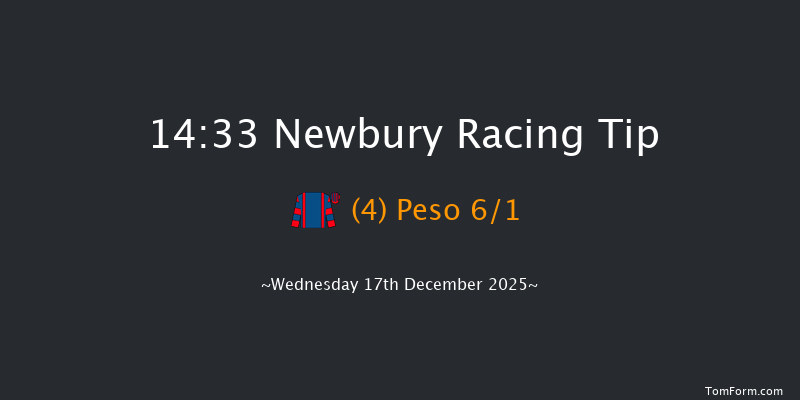 Newbury 14-33 (Class 3) 19f Sat 29th Nov 2025