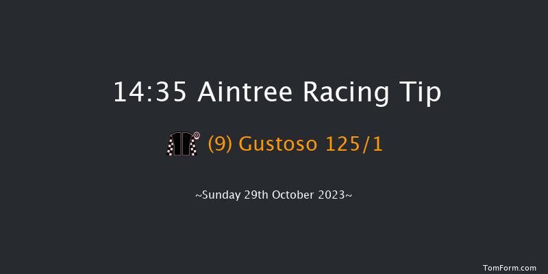 Aintree 14:35 Maiden Hurdle (Class 3) 20f Fri 16th Jun 2023