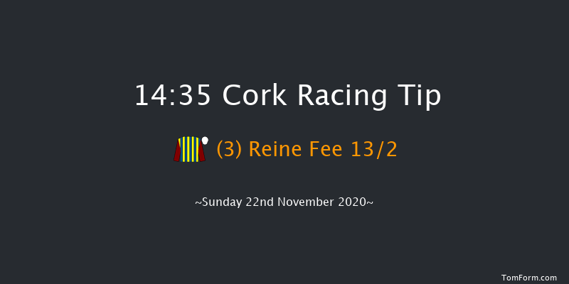 Irish Stallion Farms EBF Mares Beginners Chase Cork 14:35 Beginners Chase 17f Sun 1st Nov 2020