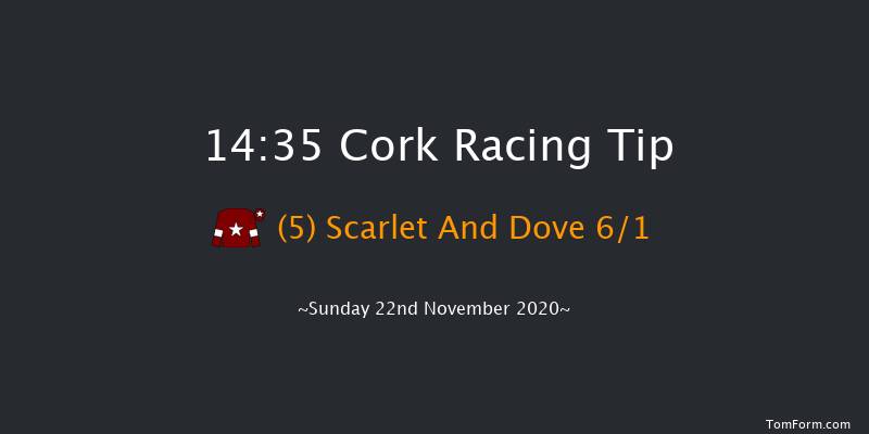 Irish Stallion Farms EBF Mares Beginners Chase Cork 14:35 Beginners Chase 17f Sun 1st Nov 2020