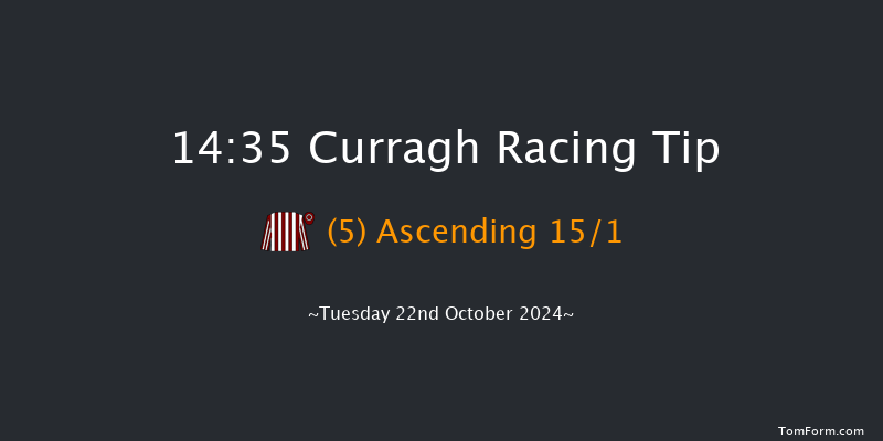Curragh  14:35 Stakes 12f Thu 17th Oct 2024