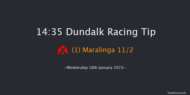 Dundalk 14:35 Handicap 11f Fri 13th Jan 2023
