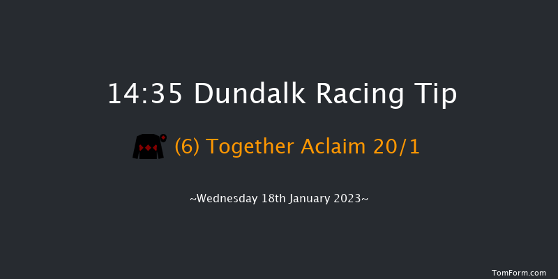 Dundalk 14:35 Handicap 11f Fri 13th Jan 2023