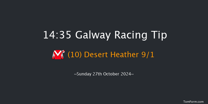 Galway  14:35 Handicap Chase 22f Sat 26th Oct 2024