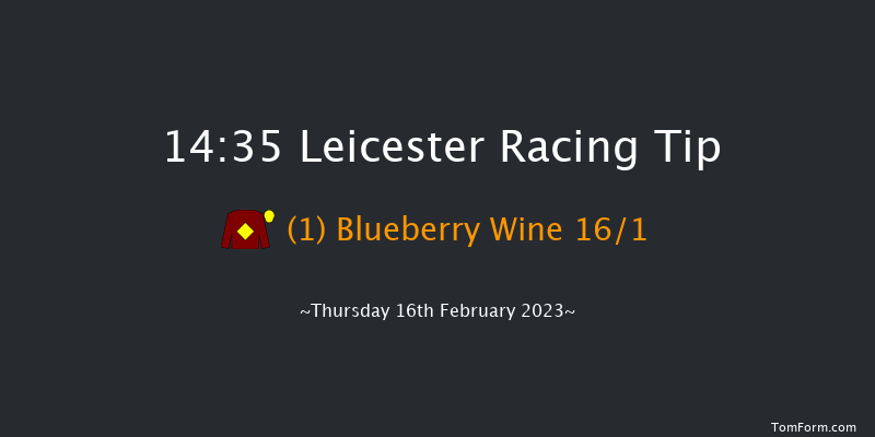 Leicester 14:35 Handicap Chase (Class 5) 16f Wed 1st Feb 2023