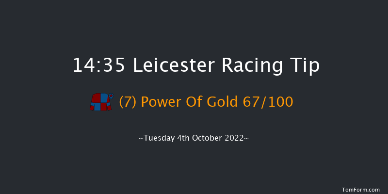 Leicester 14:35 Stakes (Class 4) 8f Tue 6th Sep 2022
