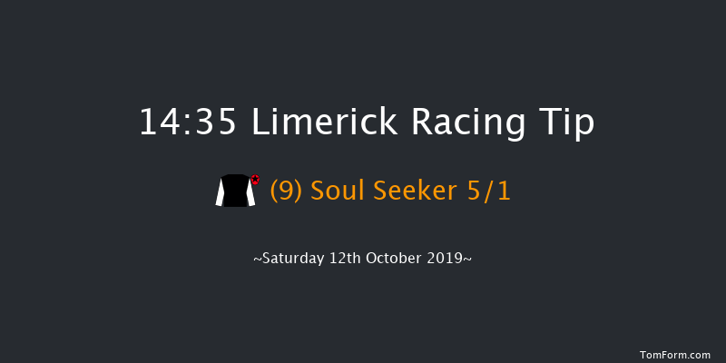 Limerick 14:35 Maiden 7f Sun 7th Jul 2019